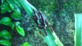 /album/fotogalerie-e-anthonyi/par-e-anthonyi-tesne-pred-snaskou-jpg1/